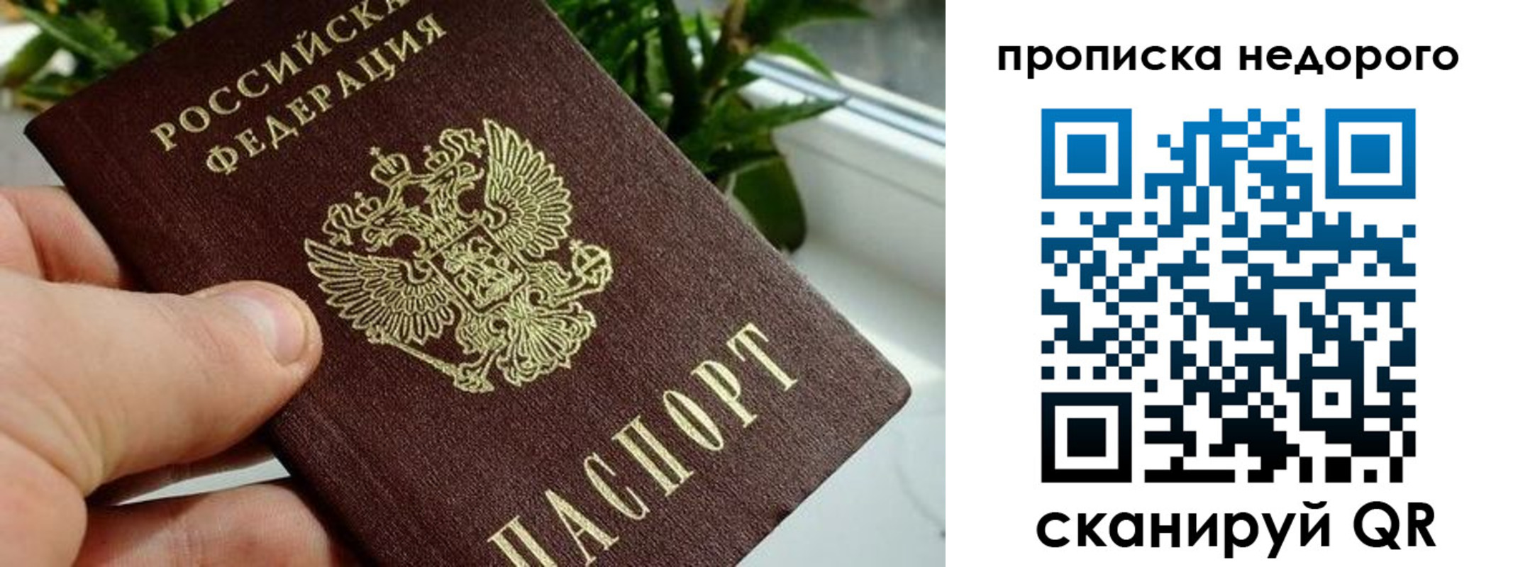прописка для кредита в Сураже